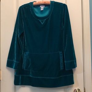 Soft surroundings green velvet blouse.
